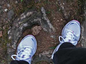 laufschuhe
