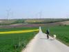 fruehling-bgld-radfahren