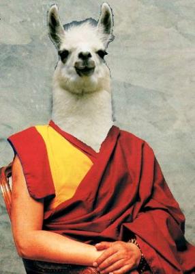 lama