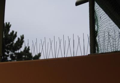 Spikes
