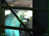 area51_sniper