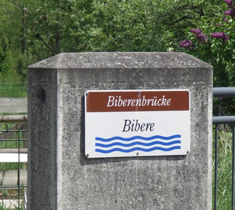 Bibere