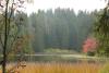 Etang-de-la-Gruere-Hochmoor