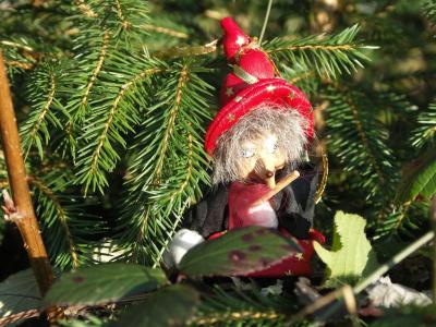 Hexe-im-winterlichen-Weihnachtsbaum-Wald