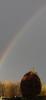 Regenbogen-