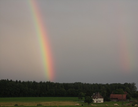 Regenbogen