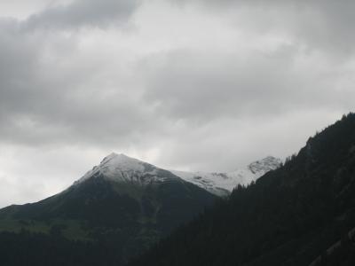 2007-049