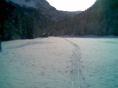 Bild206