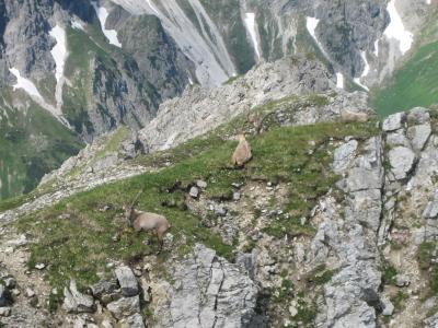 Bilder-049