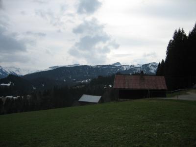 IMG_0357