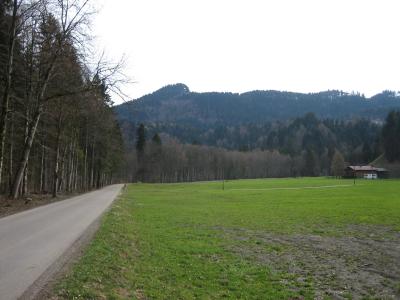 IMG_0362