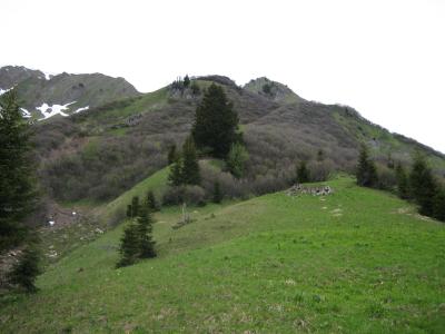 IMG_0443