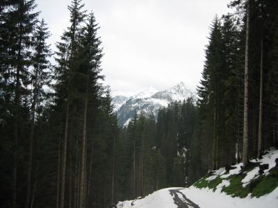 IMG_0458