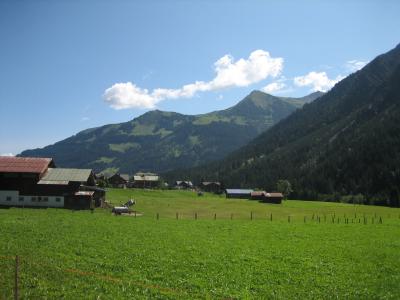 IMG_0595