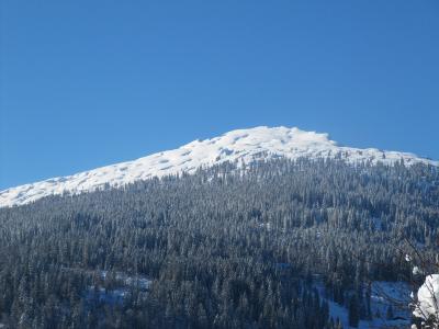 IMG_0698