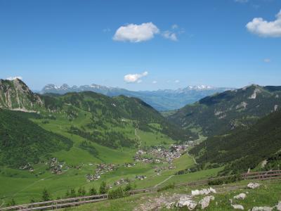 IMG_1382