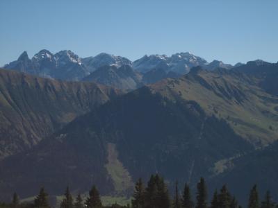 IMG_1784