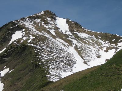 IMG_1972