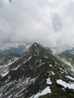 IMG_2021