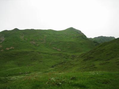 IMG_2075