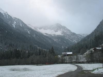 IMG_5477