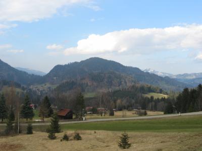 IMG_6133