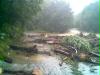 bild001