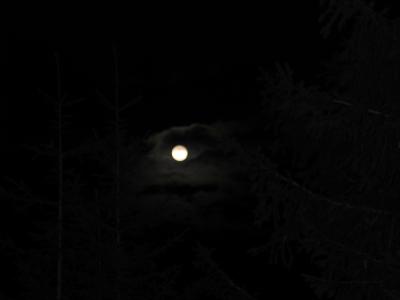 img_5648