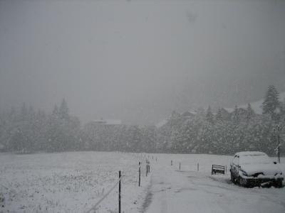 winter