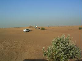 Mit 38 Jeeps ueber die Sandduenen.