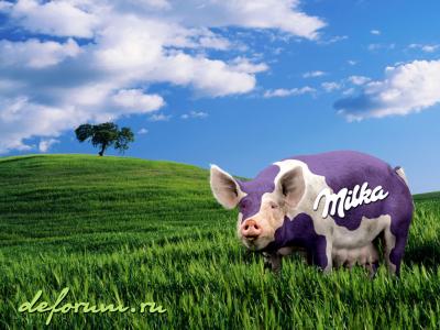 067_shpak_milka
