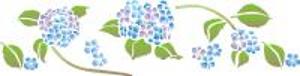 Hortensie1