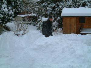 Schneesauchefeln