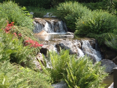 399967_web_R_by_Pagework_pixelio-de