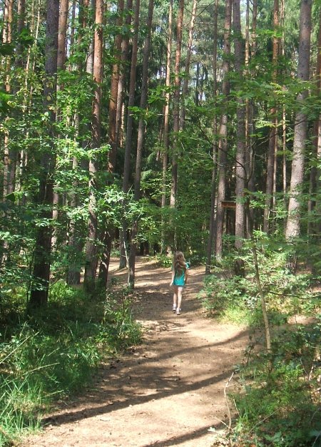 Walderlebniszentrum1