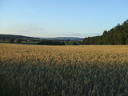 abendspaziergang2