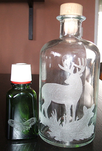 hirsch_schmetterling