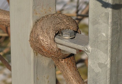 doppelt hält besser