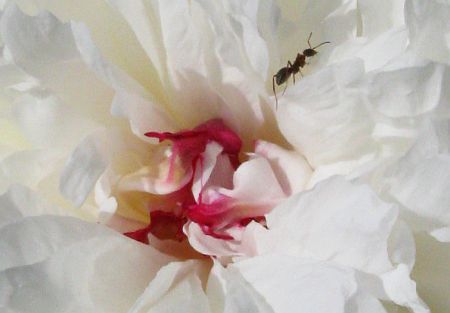 schöne plätze haben immer auch platz für genießerInnen