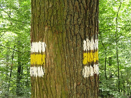 ich bin ein zweichen ...