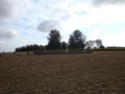 Bayernwald2