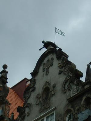 DSCF0192