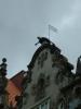 DSCF0192