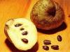 Cherimoya