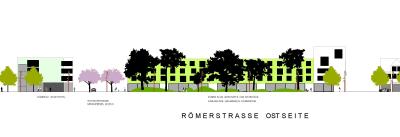 schwarzkiefer-ansicht