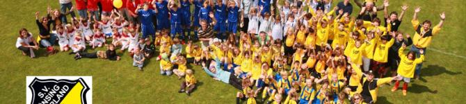 svm-header svm-header