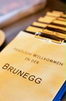 brunegg_karte