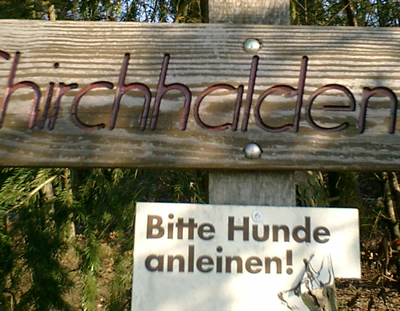 hundeanleinen