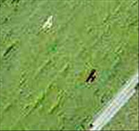 airplane-near-bern-belp