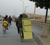 fahrradtransporteinseitig